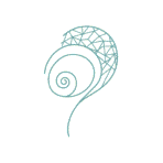 Αλεξάνδρα Δημητράκου | Συστημική Σύμβουλος – Ψυχοθεραπεύτρια & Life Coach